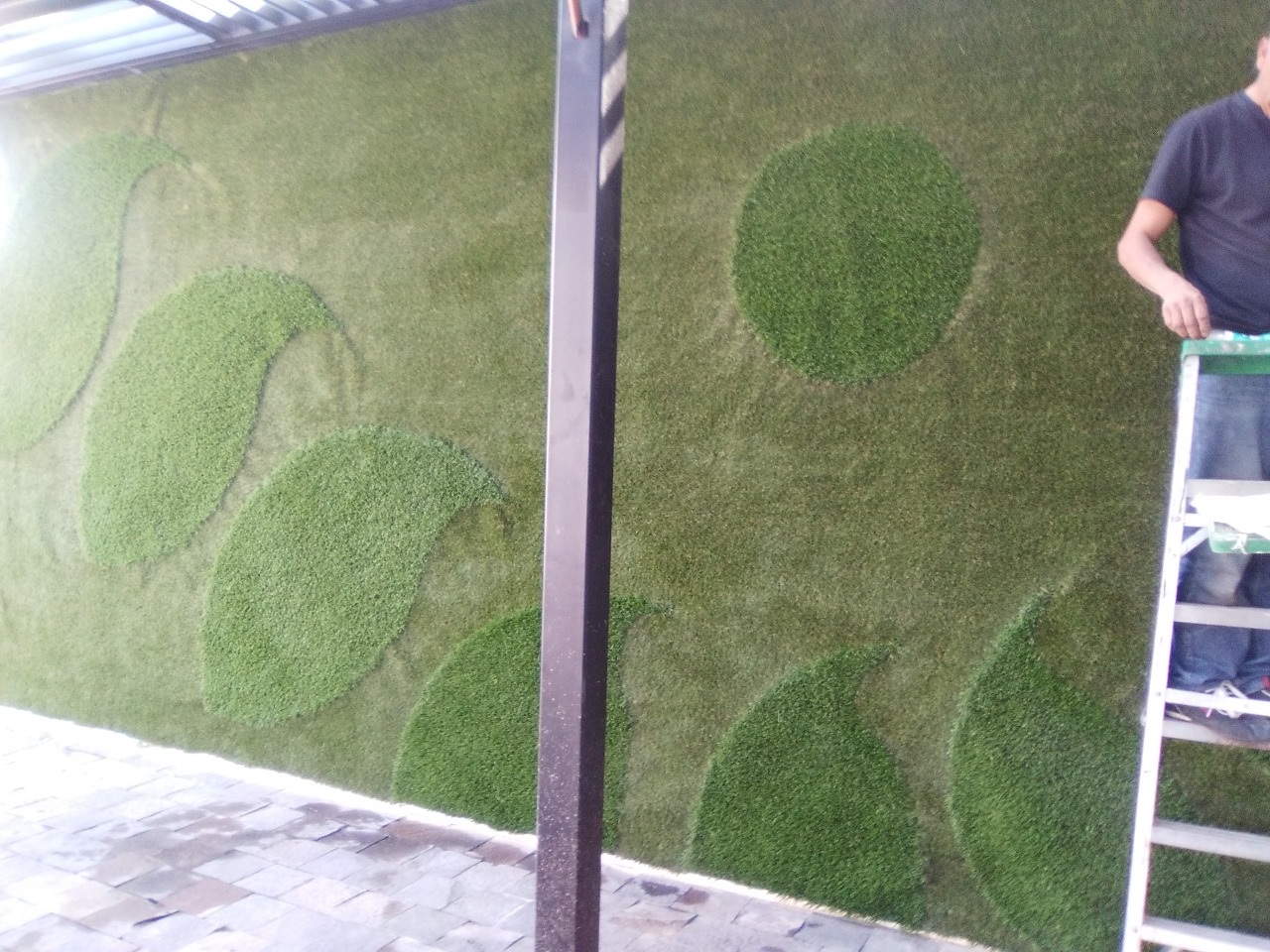 Muro Verde Pasto Sintetico Zavalerta Puebla Sports Grass 05