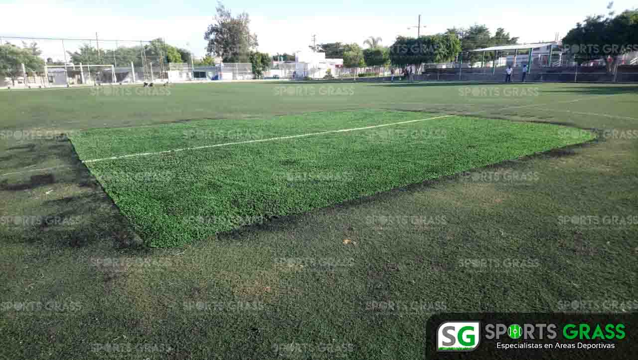 Cancha de fútbol soccer, reparación del círculo central de la cancha y áreas chicas Sports Grass 15