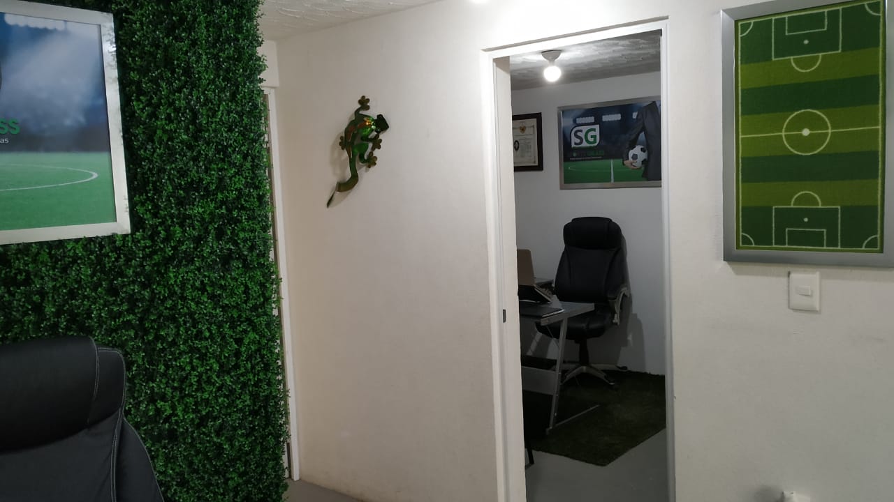 Muro Verde Oficina Sports Grass 02