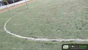 Cancha Futbol Soccer BINE Benemerito Instintuto Normal del Estado Puebla Sports Grass 06